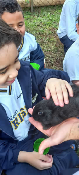Bicho Mania 2022